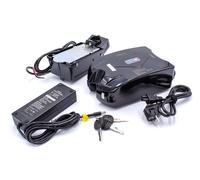 Vhbw Batterie Design Grenouille + Support + Chargeur Compatible Avec Divers Vélos Électriques Avec Batterie Frog 24v (10,4ah, 24v, Li-Ion)