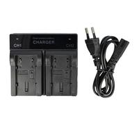 vhbw Chargeur Double Compatible avec JVC GY-HM100, GY-HM100E, GZ-HD3, GZ-HD10, GZ-HD10ex caméra caméscope Action-cam - Station, témoin de Charge