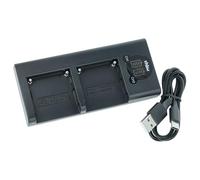 vhbw Chargeur Micro-USB + USB-C Double Compatible avec Sony MiniDV DCR-VX700, DCR-VX9 Serie caméra caméscope + câble USB-C + témoin de Charge