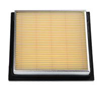 Vhbw Filtre À Air Remplacement Pour Delphi Af0210 Pour Voiture