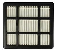 vhbw Filtre compatible avec Ariete 2741 XForce, 2791 JetForce aspirateur - Filtre HEPA G