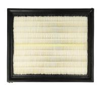vhbw Filtre d'aspirateur compatible avec Lidl Parkside PPWD 30 A1 aspirateur - Filtre principal