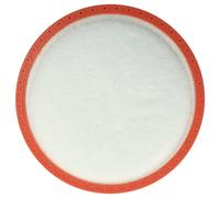 vhbw Filtre pré-moteur compatible avec Dirt Devil DD2620-9, DD2650-0, DD2650-1, DD2651-0, DD2651-1 aspirateur - Filtre de protection du moteur