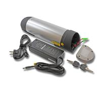 vhbw Li-Ion Batterie 10 Ah (36.0V) pour vélo électrique Prophete.