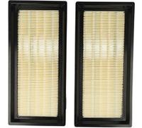 vhbw Set de 2x filtres d'aspirateur compatible avec Nilfisk Attix 30, 30-21 XC 230V 50HZ DK aspirateur - Filtre principal, filtre plissé plat