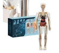 Vhjlfig Maquette de corps humain pour | Kit interactif d'os du corps humain 3D | Jouets physiologie pour filles garçons adolescents classe préscolaire maison bibliothèque Halloween