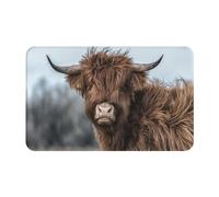 VhoMes Paillasson extérieur, paillassons antidérapants d'entrée intérieure, Tapis de Patio extérieur 49x80 cm,Vache des Highlands Faune écossaise