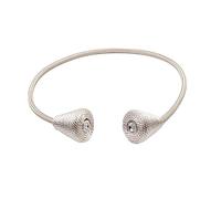 vhVHJry Embrasse pour Rideaux 2 pièces/Ensemble Pince à Rideau magnétique, embrasses de Supports Rideaux, Accessoires décoration Embrasse Rideau(Champagne 2PCS)