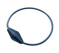 vhVHJry Embrasse pour Rideaux 2 pièces/Ensemble Pince à Rideau magnétique, embrasses de Supports Rideaux, Accessoires décoration Embrasse Rideau(Blue 2PCS)