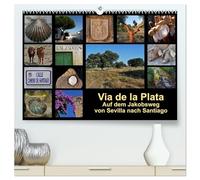 Via de la Plata - auf dem Jakobsweg von Sevilla nach Santiago (hochwertiger Premium Wandkalender 2026 DIN A2 quer), Kunstdruck in Hochglanz: Pilgern ... - 1000 km zu Fuß von Sevilla nach Santiago