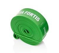 VIA FORTIS Bandes de Résistance Prémiums + Instructions d'Exercices et Sac - Bandes de Résistance/Bandes de Traction et Aide à la Traction/Bande Fitness/Bandes d'Entraînement Fitness & Musculation