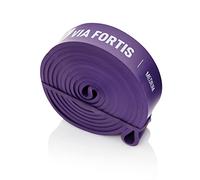 VIA FORTIS Bandes de Résistance Prémiums + Instructions d'Exercices et Sac - Bandes de Résistance/Bandes de Traction et Aide à la Traction/Bande Fitness/Bandes d'Entraînement Fitness & Musculation