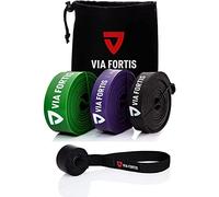 VIA FORTIS Bandes de Résistance Prémiums + Instructions d'Exercices et Sac - Bandes de Résistance/Bandes de Traction et Aide à la Traction/Bande Fitness/Bandes d'Entraînement Fitness & Musculation