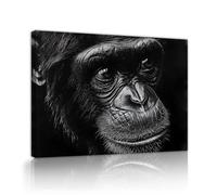 Via Vela Art mural moderne encadré par un singe Portrait d’animal en noir et blanc Impression d’œuvres d’art de grande taille pour bureau à domicile décoration de bureau 70x90cm