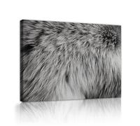Via Vela Peinture murale en toile de peau d’animal motifs de fourrure gris et blanc affiches modernes de la nature fresque pour décoration de chambre 50x60cm