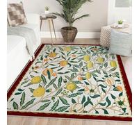 Via Vela Tapis d Art Uniques pour Le Salon 60x90cm Lavable en Machine Style Minimaliste Grand Nouveau la Salle à Manger Bureau Fruit Motif Grenade Poils Ras antidérapants Minces légers