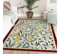 Via Vela Tapis de Salon Vintage 180x300cm Blanc Grand Doux Lavable Ferme pour Chambre à Coucher Fruit Grenade Motif Sol intérieur esthétique Le Bureau Domicile Maison décor