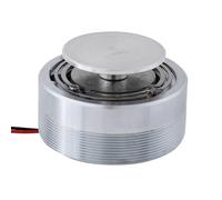 ViaGasaFamido Haut-Parleur de Vibration de 50 Mm, Toute Résonance de Fréquence avec des Basses Solides, Transmission de Fréquence à 360 °, qualité Sonore Claire, pour Ordinateur Ordinateur (4Ω 25W)