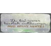 vianmo Panneau en bois 10x27 cm du bist immer willkommen. Nur nicht heute Déco Cadeau Panneau