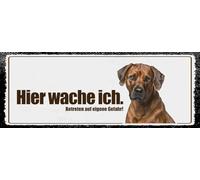 vianmo Panneau en bois 10x27 cm Hier Wache Ich Rodhesian Ridgeback Déco Cadeau Panneau