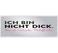 vianmo Panneau en bois 10x27 cm Ich bin nicht dick, das ist Nutzfläche Déco Cadeau Panneau