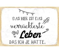 vianmo Panneau en bois 20x30 cm Das verrückteste Leben das ich je hatte Déco Cadeau Panneau