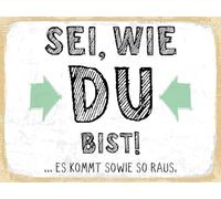 vianmo Panneau en bois 30x40 cm Sei, wie du bist. Es kommt sowie so raus Schild Déco Cadeau Panneau