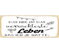 vianmo Plaque en tôle 10x27 cm Das verrückteste Leben das ich je hatte Déco Cadeau Panneau