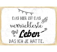 vianmo Plaque en tôle 12x18 cm Das verrückteste Leben das ich je hatte Déco Cadeau Panneau