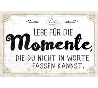 vianmo Plaque en tôle 12x18 cm Momente die du nicht in Worte fassen kannst Déco Cadeau Panneau