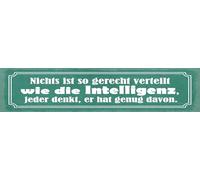 vianmo Plaque en tôle de 10 x 46 cm, rien n'est aussi bien réparti que l'intelligence décorative, cadeau