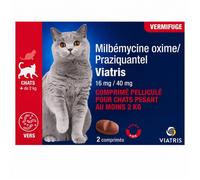 VIATRIS Milbémycine Praziquantel vermifuge chat >2Kgs