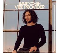 Vibe Provider