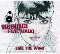 Vibekingz - Like The Wind [Import]