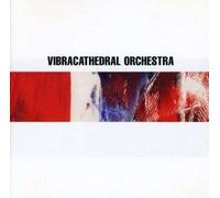 Vibracathedral Orchestra - Gate's Open, Tremble by My [Import]