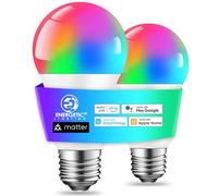 Vibrant Matter Lot de 2 ampoules LED intelligentes A19 E26 RVB à changement de couleur, fonctionne avec Alexa/Google Home/Apple Home/SmartThings, équivalent à 60 W, 800 lm, WiFi seulement 2,4 GHz