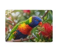 Vibrant Rainbow Lorikeet Portrait Tapis 150 x 100 cm, Doux et Antidérapant | Décoration saisonnière avec tapis 150 x 100 cm, avec impression par transfert thermique; pour salon