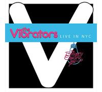 Vibrators - Live in NYC