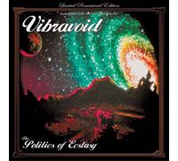 vibravoid - the politics of ecstasy