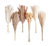 Vibsky Lot de 105 bouquets de fleurs séchées avec herbe de la pampa et queue de lapin, décoration d'intérieur durable, style rustique moderne