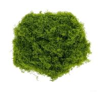 Vibsky Mousse synthétique pour décoration d'intérieur et modélisme - Mousse artificielle vert clair - 50 g/100 g/200 g, fibre de polyester douce pour couronnes et pots de fleurs