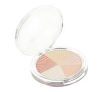 VICASKY 1 boîte de poudre de mise en évidence pour le visage, 5 couleurs, fond de teint pour le visage et femme, coque en plastique