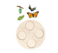 VICASKY 1 jeu de jouets de cycle de vie des animaux - Modèle d'insectes éducatif à pièces avec figurines réalistes pour l'apprentissage précoce et la découverte de la nature