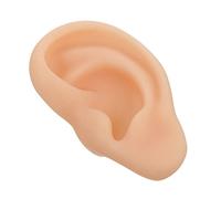 VICASKY 1 modèle d'oreille en silicone pour entraînement - Simulation réaliste d'un humain à des fins d'enseignement et de présentation - En silicone de qualité supérieure - Côté gauche