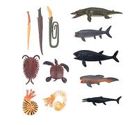 VICASKY 1 Modèles d'animaux Préhistoriques Jouets D'éveil Interactif pour Enfants Artisanat De Figurines De Poisson Modèle Animal Marin Animal Marin Simulé Plastique Colorful
