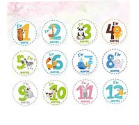 VICASKY 12pièces Autocollants Mois Décalcomanies Animaux De Dessin Pour Stickers Photo De Jalons Pour Nouveaux-