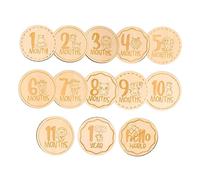VICASKY 13pièces De Pour Avec Motif Animal Disques De Jalons Mensuels Pour Marquants De De
