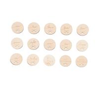 VICASKY 15 Pièces photographier les copeaux de bois cartes d'étape de bébé en bois cartes photo mensuelles pour bébés disques d'étape du nouveau-né cartes jalons en bois double face CD