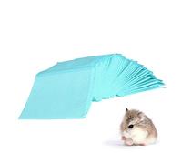 VICASKY 20pièces Coussin Urine pour Animaux De Compagnie Coussin Urine De Dressage pour Chiots Lot pour Éducation Et Accompagnement