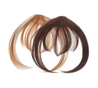 VICASKY 2pièces Faux Extensions Capillaires Femme Postiches à Clips Avec Temples Faciles à Appliquer Disponibles